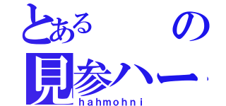 とあるの見参ハー（ｈａｈｍｏｈｎｉ）