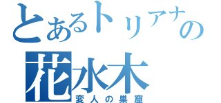 とあるトリアナの花水木（変人の巣窟）