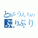 とあるうんちのぶりぶりぶりぶり（脱糞）