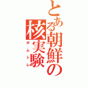 とある朝鮮の核実験（ボムトレ）