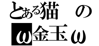 とある猫のω金玉ω（）