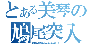 とある美琴の鳩尾突入（無視すんなやごらぁぁぁぁぁぁぁぁ！！！）