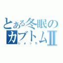 とある冬眠のカブトムシⅡ（じょっち）