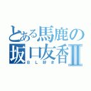 とある馬鹿の坂口友香Ⅱ（ＢＬ好き）