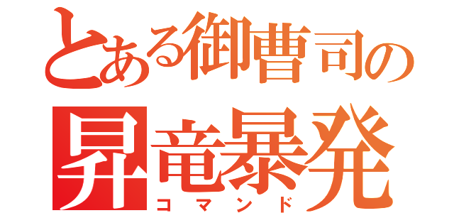 とある御曹司の昇竜暴発（コマンド）