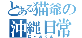 とある猫爺の沖縄日常（にゃおくん）