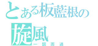 とある板藍根の旋風（一飄而過）