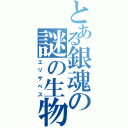 とある銀魂の謎の生物Ⅱ（エリザベス）