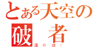 とある天空の破壞者（漢の魂！）