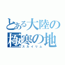 とある大陸の極寒の地（スカイリム）