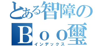 とある智障のＢｏｏ璽（インデックス）