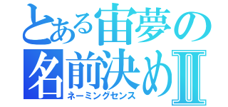 とある宙夢の名前決めⅡ（ネーミングセンス）