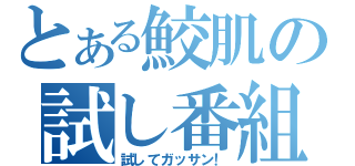 とある鮫肌の試し番組（試してガッサン！）