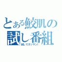 とある鮫肌の試し番組（試してガッサン！）