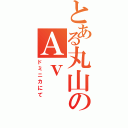 とある丸山のＡｖ（ドミニカにて）