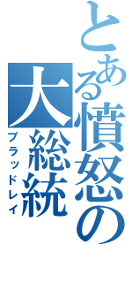 とある憤怒の大総統（ブラッドレイ）