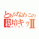 とあるなめこの栽培キットⅡ（さいばい）