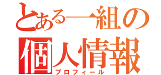 とある一組の個人情報（プロフィール）