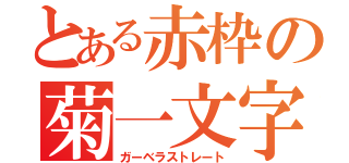 とある赤枠の菊一文字（ガーベラストレート）