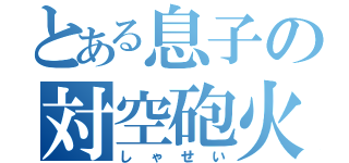 とある息子の対空砲火（しゃせい）