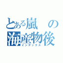 とある嵐の海産物後（インデックス）