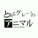 とあるグレートのアニマルカイザー（ハシブトカラス）