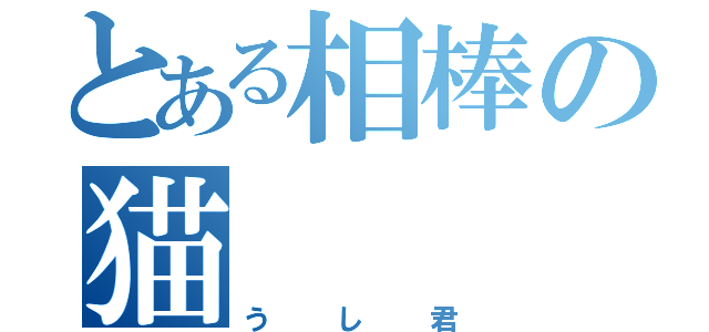 とある相棒の猫（うし君）