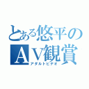 とある悠平のＡＶ観賞（アダルトビデオ）