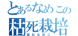 とあるなめこの枯死栽培（枯れなめこ）