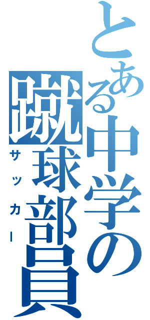 とある中学の蹴球部員（サッカー）