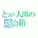 とある人間の機会箱（パソコン）