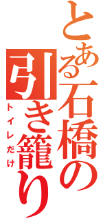 とある石橋の引き籠りⅡ（トイレだけ）