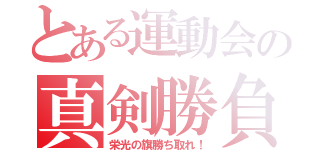 とある運動会の真剣勝負（栄光の旗勝ち取れ！）