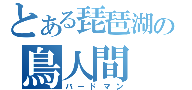 とある琵琶湖の鳥人間（バードマン）