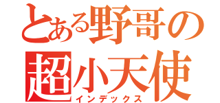 とある野哥の超小天使（インデックス）