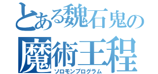 とある魏石鬼の魔術王程式（ソロモンプログラム）