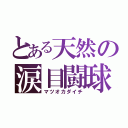 とある天然の涙目闘球（マツオカダイチ）