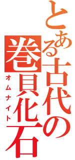 とある古代の巻貝化石（オムナイト）