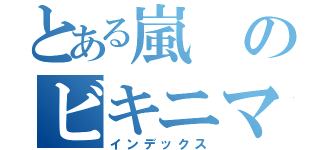 とある嵐のビキニマン（インデックス）