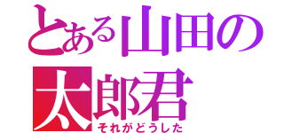 とある山田の太郎君（それがどうした）