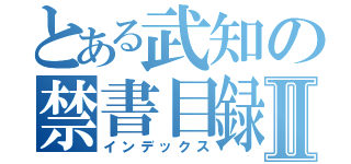 とある武知の禁書目録Ⅱ（インデックス）