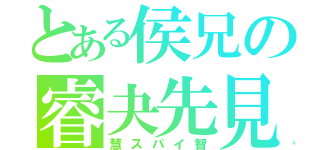 とある侯兄の睿夬先見（慧スパイ智）