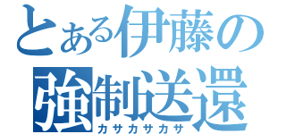 とある伊藤の強制送還（カサカサカサ）