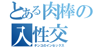 とある肉棒の入性交（チンコのインセックス）