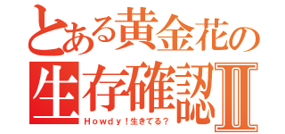 とある黄金花の生存確認Ⅱ（Ｈｏｗｄｙ！生きてる？）