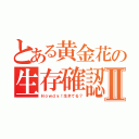 とある黄金花の生存確認Ⅱ（Ｈｏｗｄｙ！生きてる？）