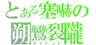 とある塞嚇の朔鸞裂隴（サイドット）