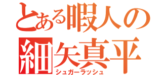 とある暇人の細矢真平（シュガーラッシュ）