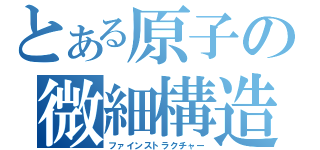 とある原子の微細構造（ファインストラクチャー）