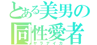 とある美男の同性愛者（ヤラナイカ）